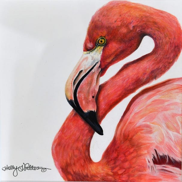 In the Pink